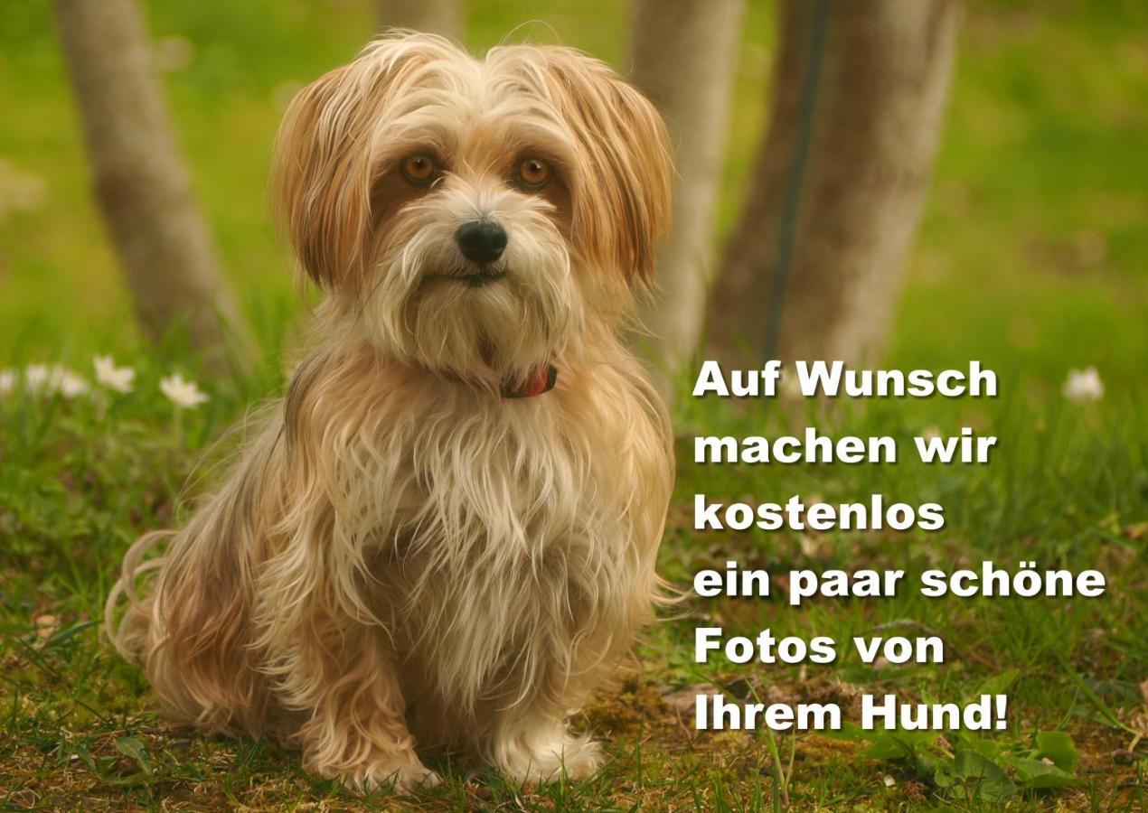 Fewo C2 für bis zu 2 Personen St. Blasien Exterior foto